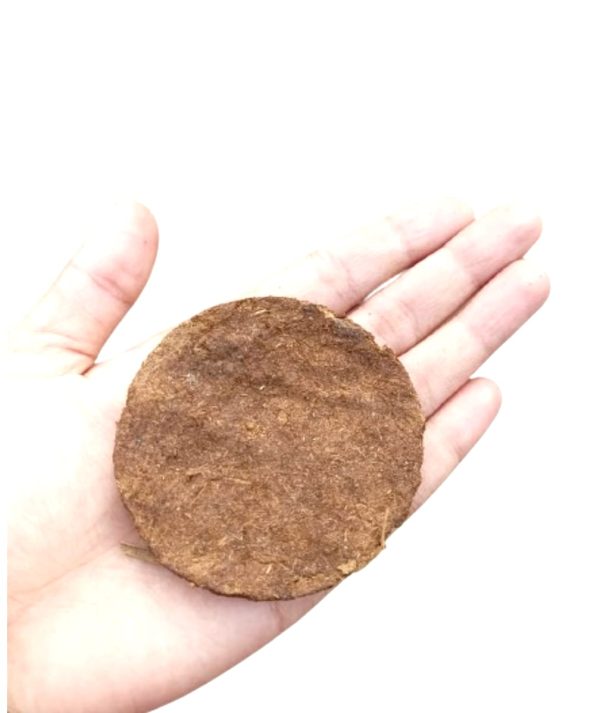 Original Desi Gir Cow Dung Cake for Hawan, Pujan & Religious Purpose Round Shape Desi Gobar Ke Uple - Image 4