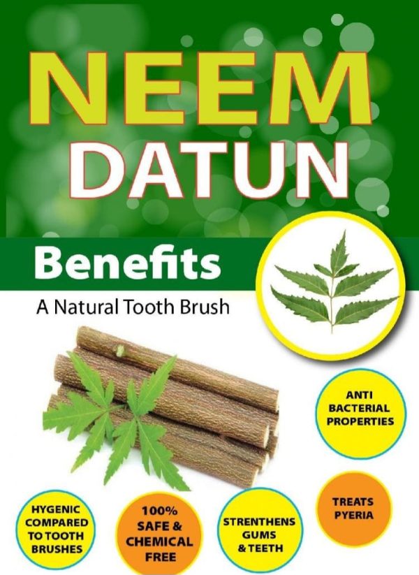 Organic Neem Datun :Natural Ayurvedic Toothbrush (20 Pcs, 6-inch) - Image 2