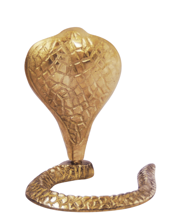 Brass Snake (ZMAS299 B) - Image 2