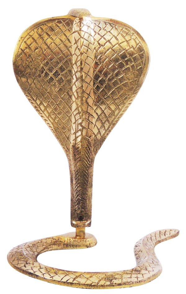 Brass Snake (ZMAS299 F) - Image 2