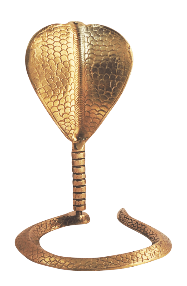 Brass Snake (ZMAS299 G) - Image 2